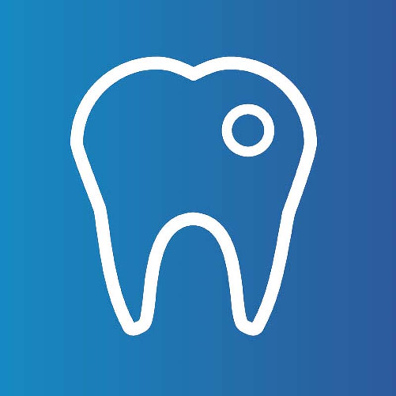 종합 치과 진료