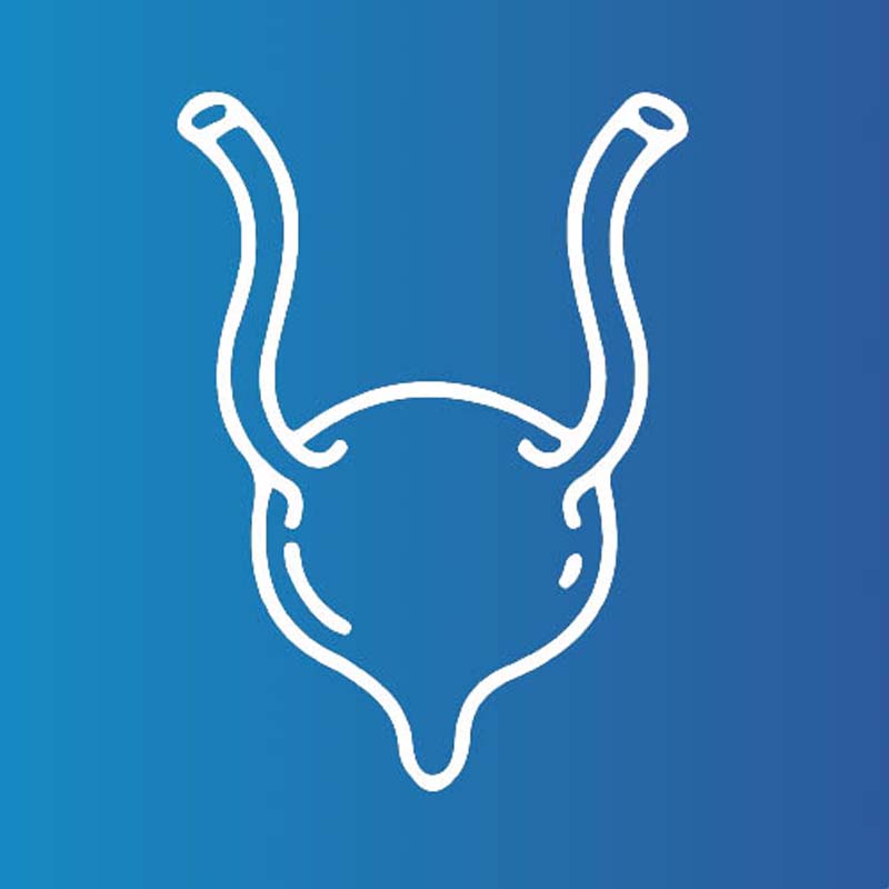 전문 비뇨기과 수술