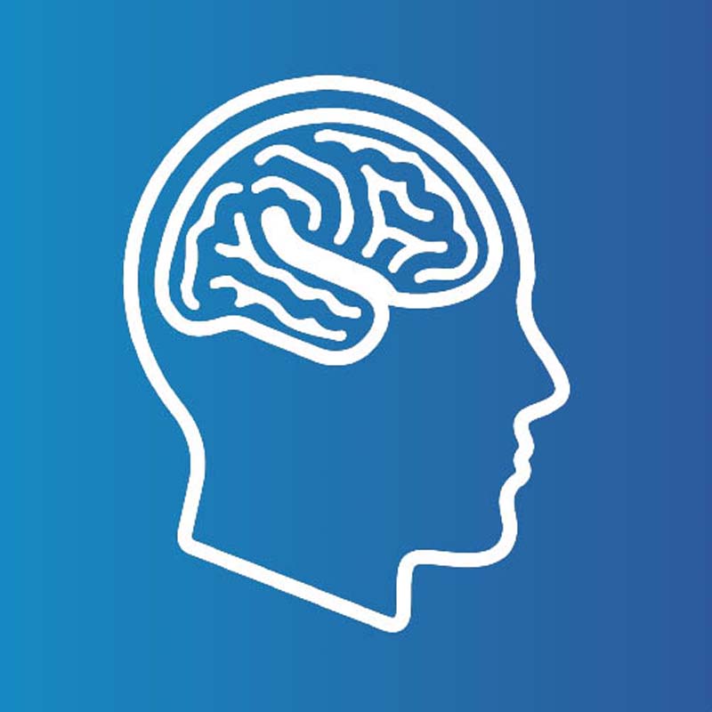 신경학 및 뇌 의학 종합 서비스