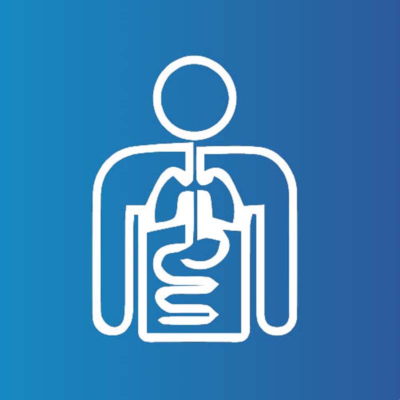 종합 내과 진료 서비스