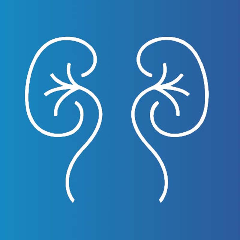 고급 혈액투석 센터