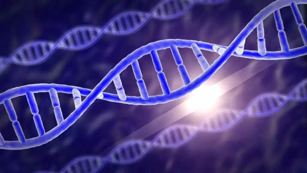 Preimplantation Genetic Testing (PGT)