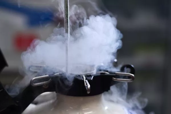 Egg Freezing