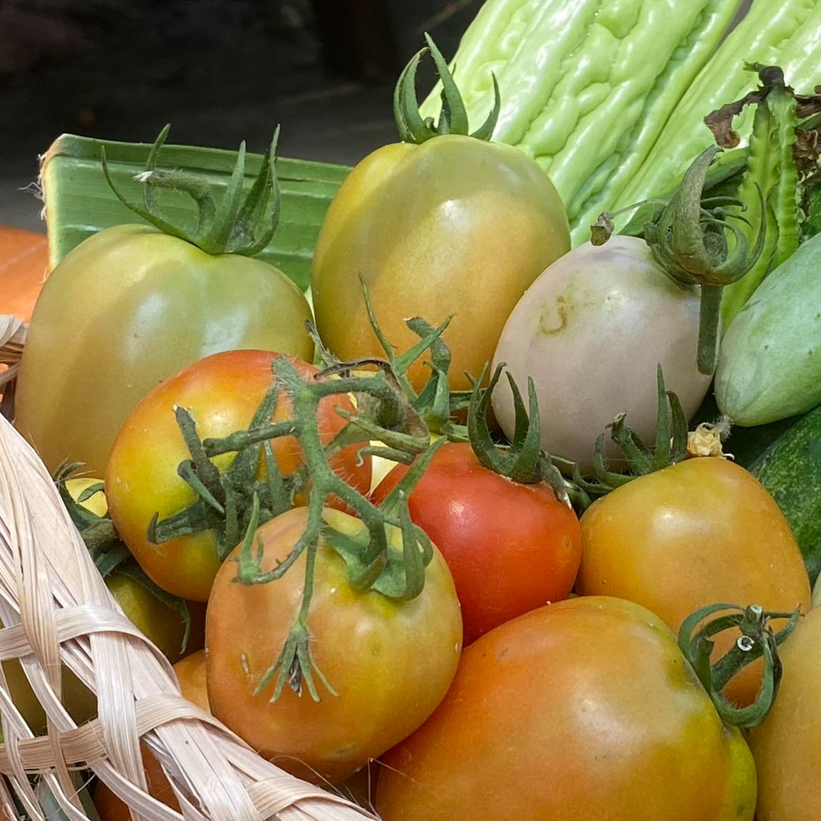 Organic Vegetable Garden