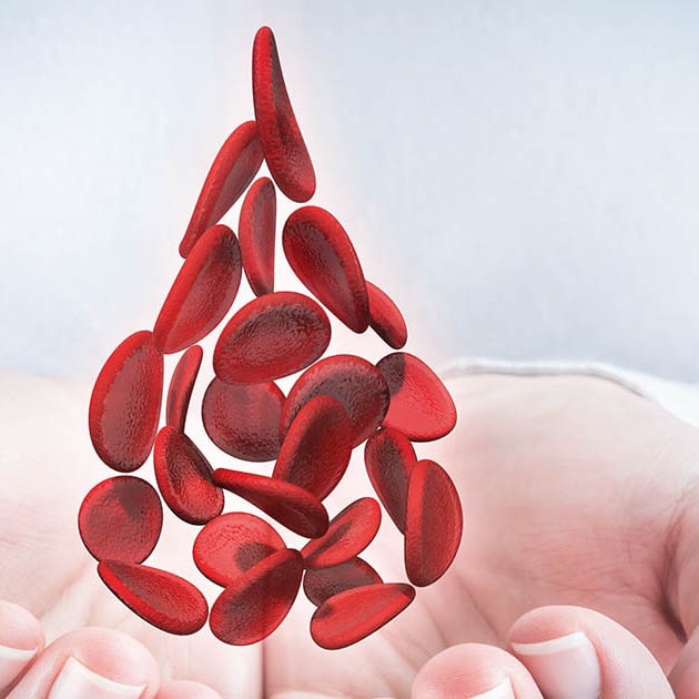 عيادة مضادات التخثر