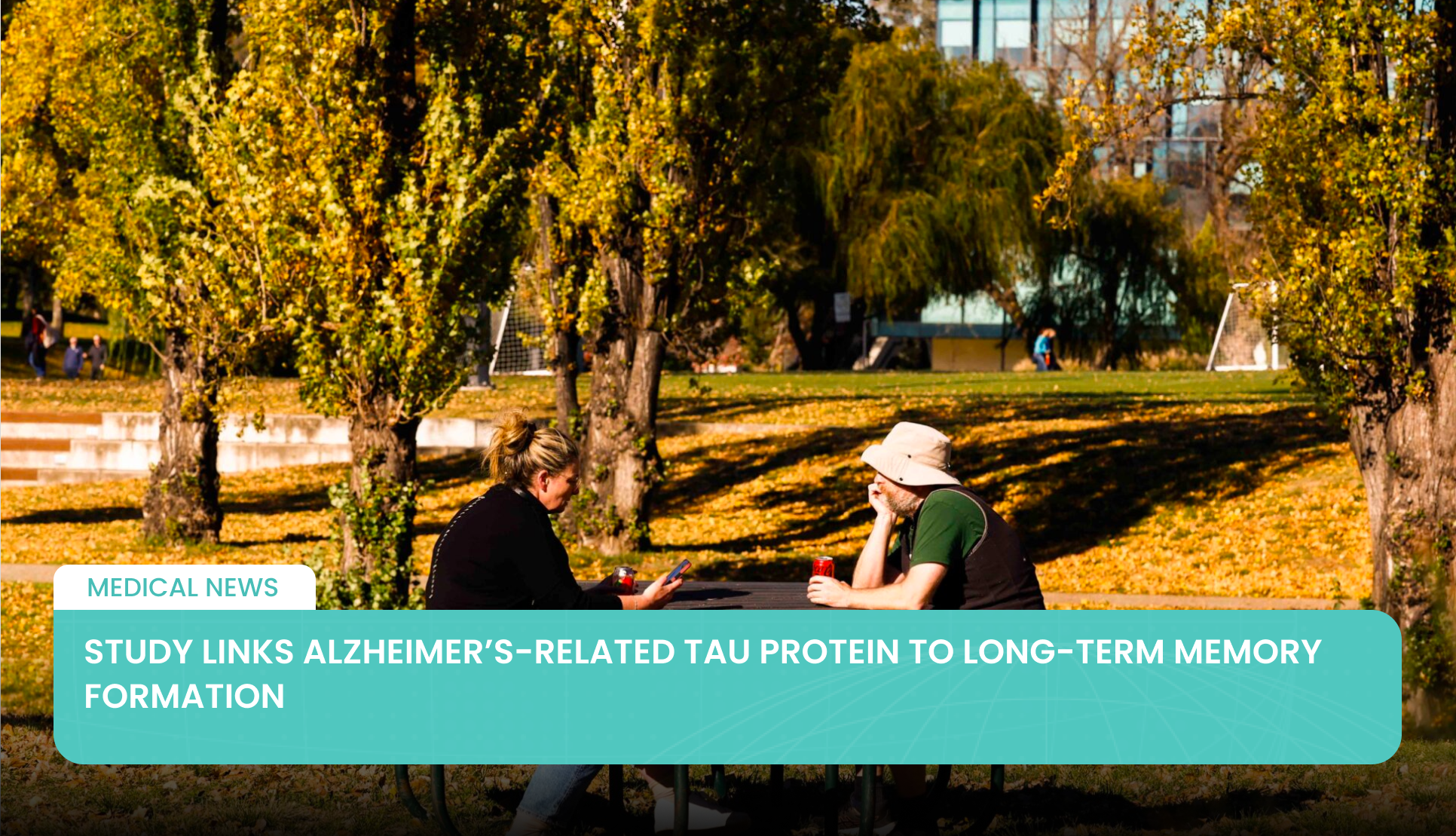Study Links Alzheimer’s-Related Tau Protein to Long-Term Memory Formation