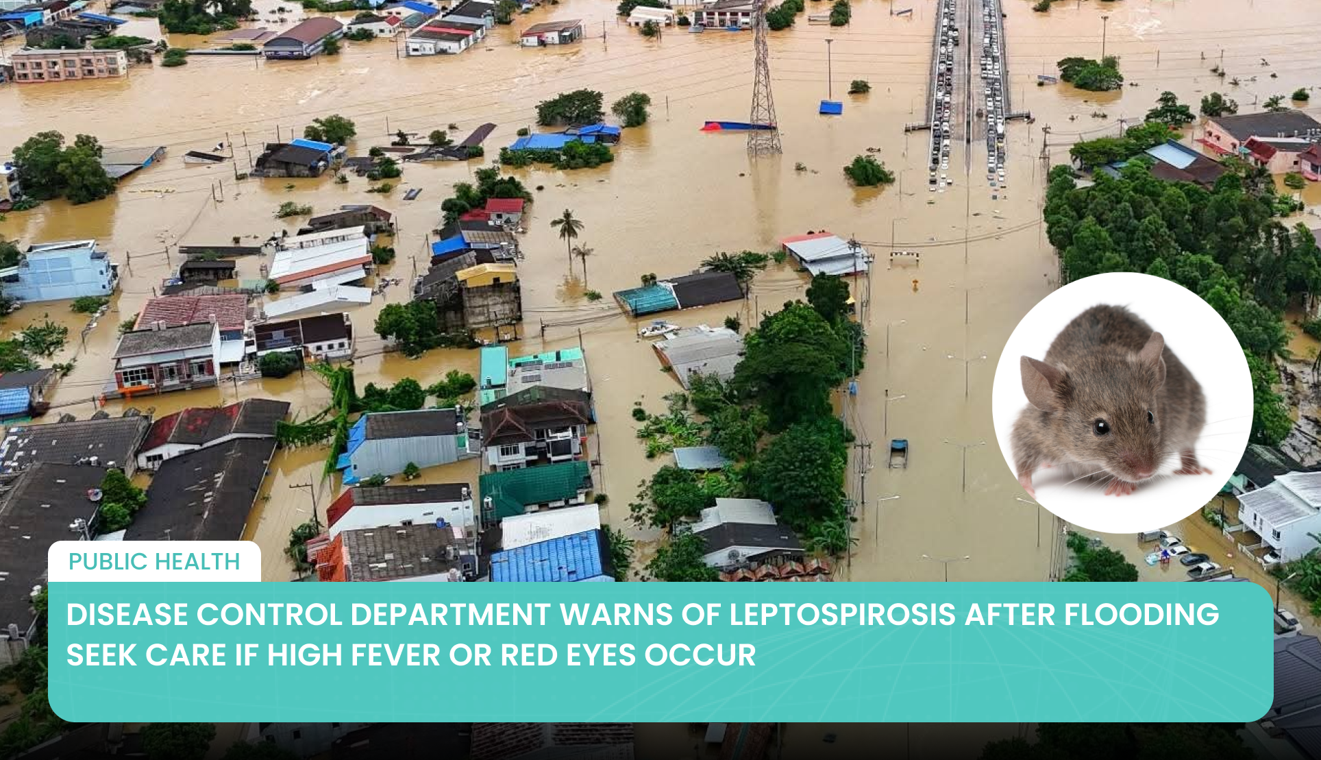 Disease Control Department Warns of Leptospirosis After Flooding  Seek Care if High Fever or Red Eyes Occur