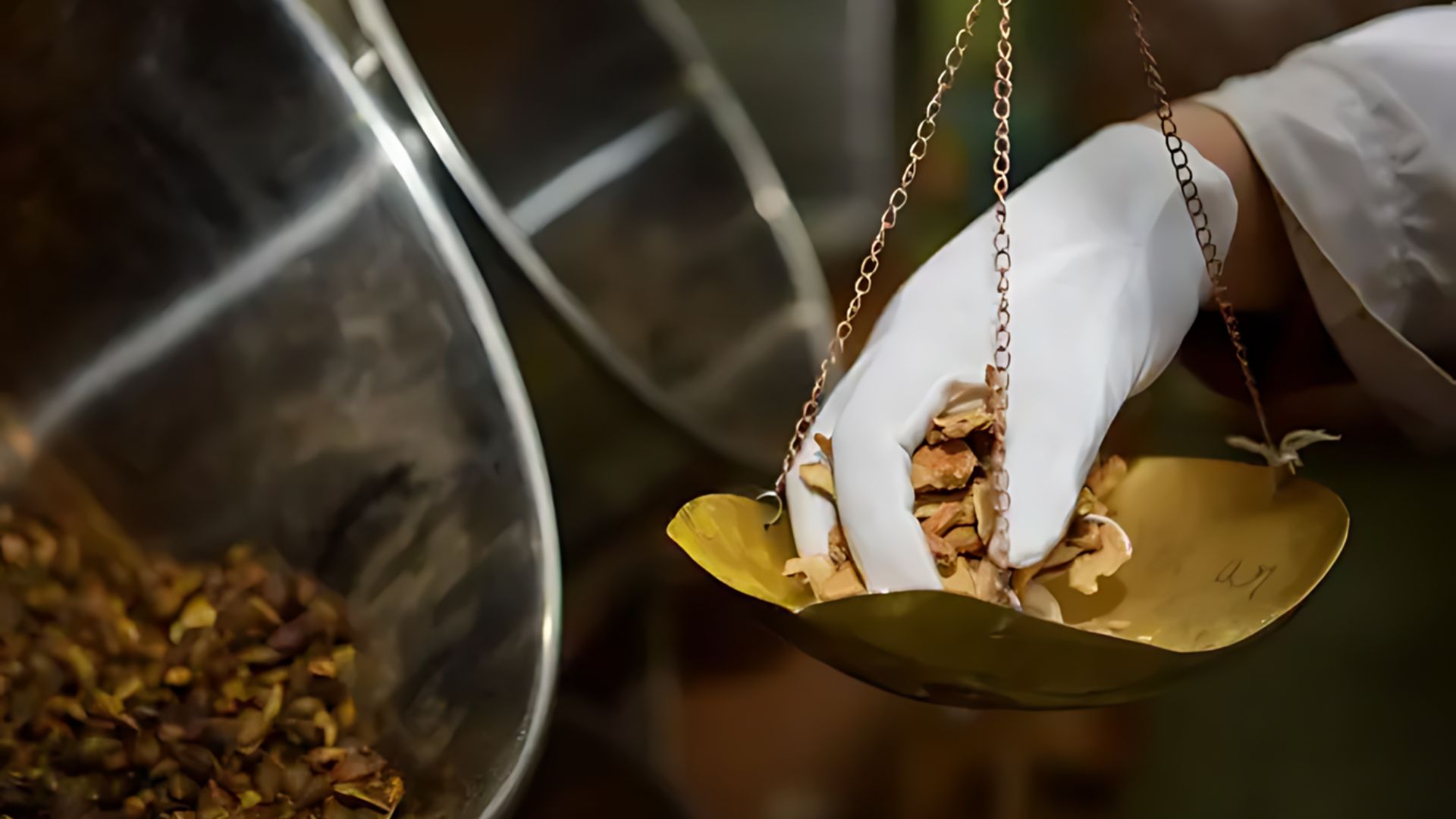 Chinese Doctors Provide Free Health Screenings in Mongolia