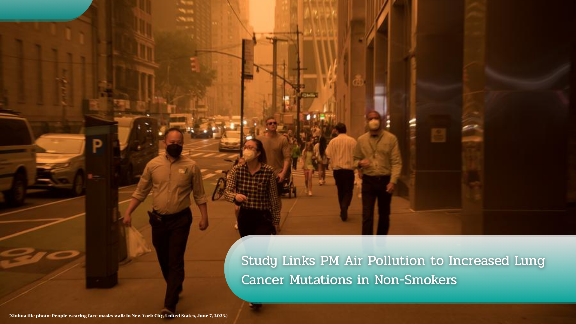 Study Links PM Air Pollution to Increased Lung Cancer Mutations in Non-Smokers