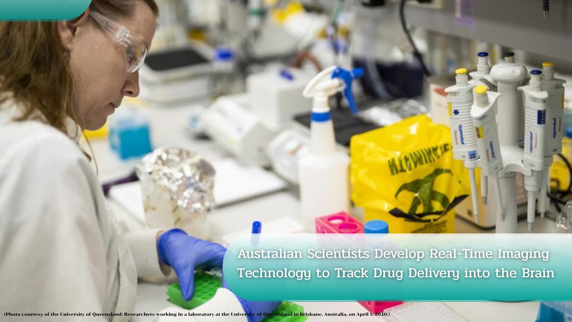 Australian Scientists Develop Real-Time Imaging Technology to Track Drug Delivery into the Brain