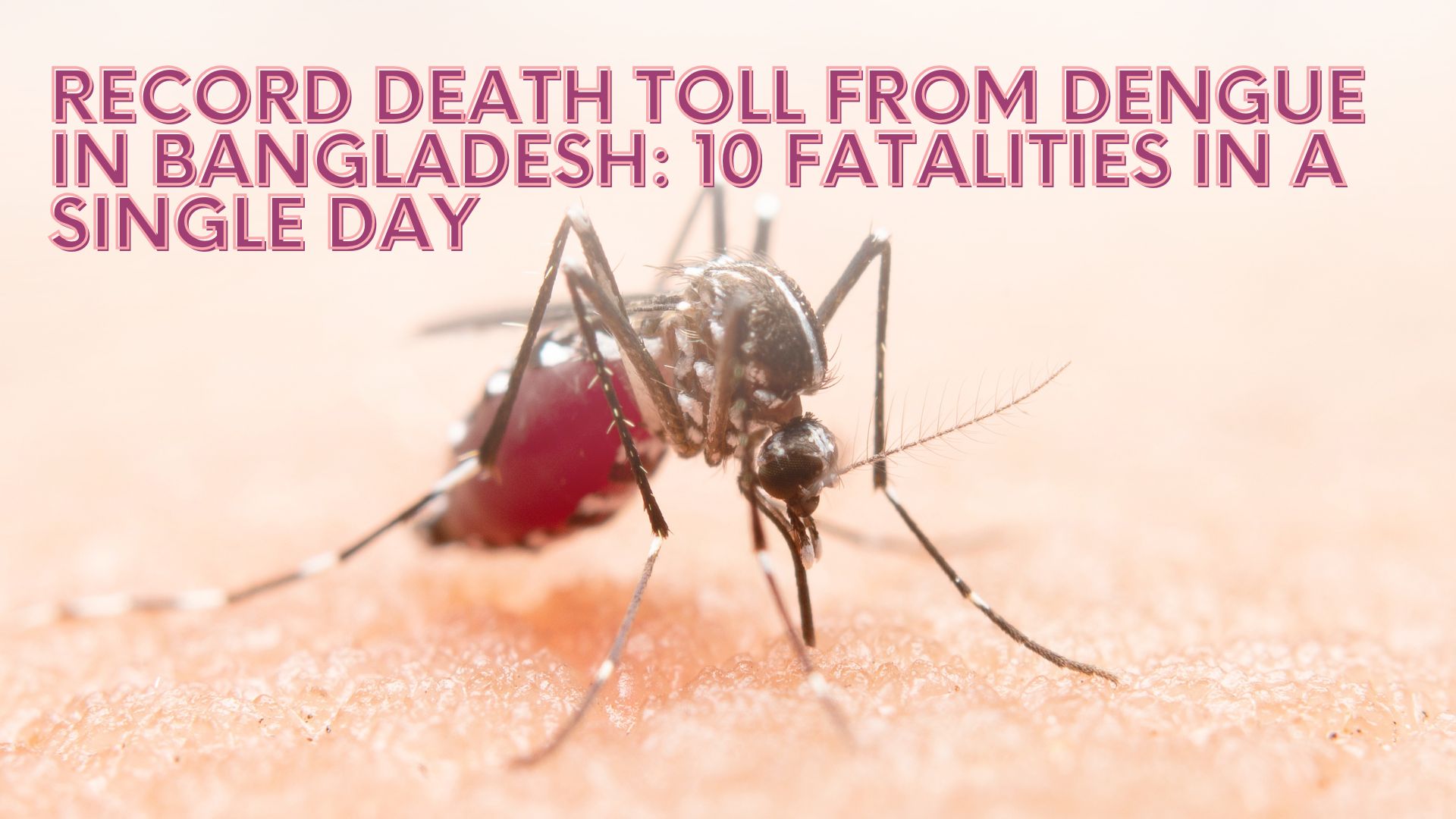 Record Death Toll from Dengue in Bangladesh: 10 Fatalities in a Single Day