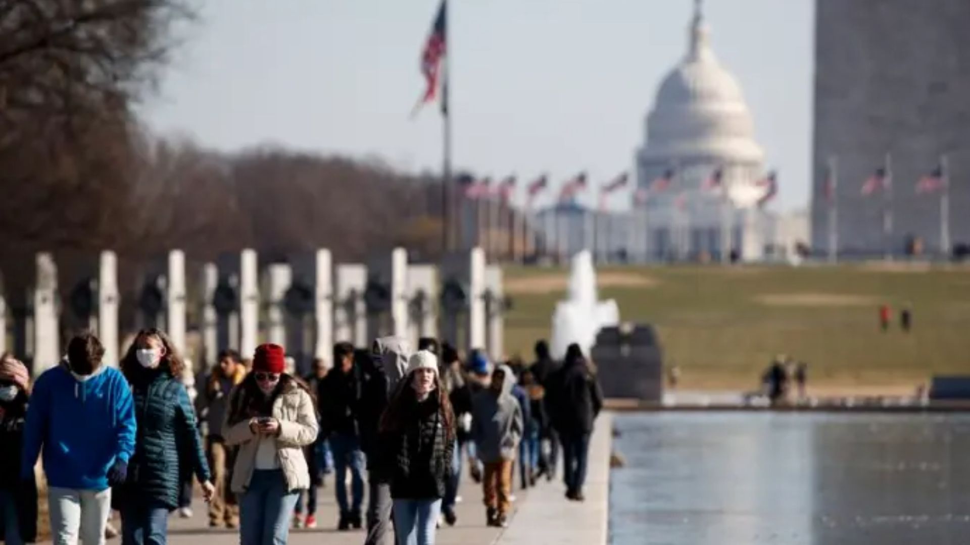 US Surgeons Transplant Genetically Modified Pig Kidney to Aid Kidney Failure Patient
