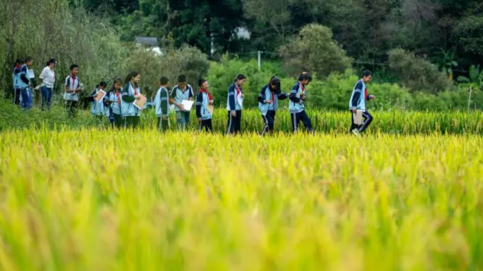 Over 120 Students Recover from Norovirus Infection in Yunnan