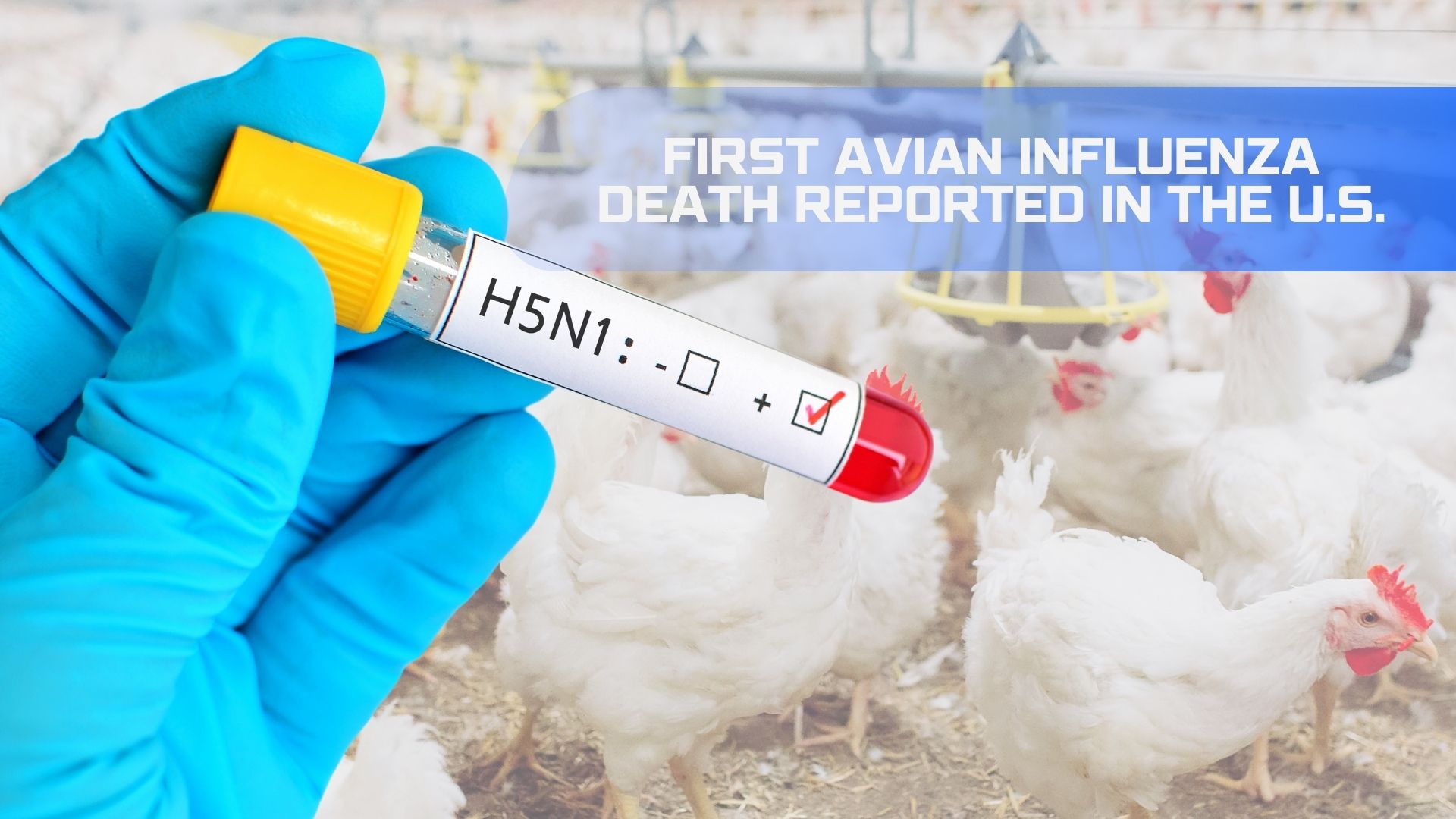First Avian Influenza Death Reported in the U.S.