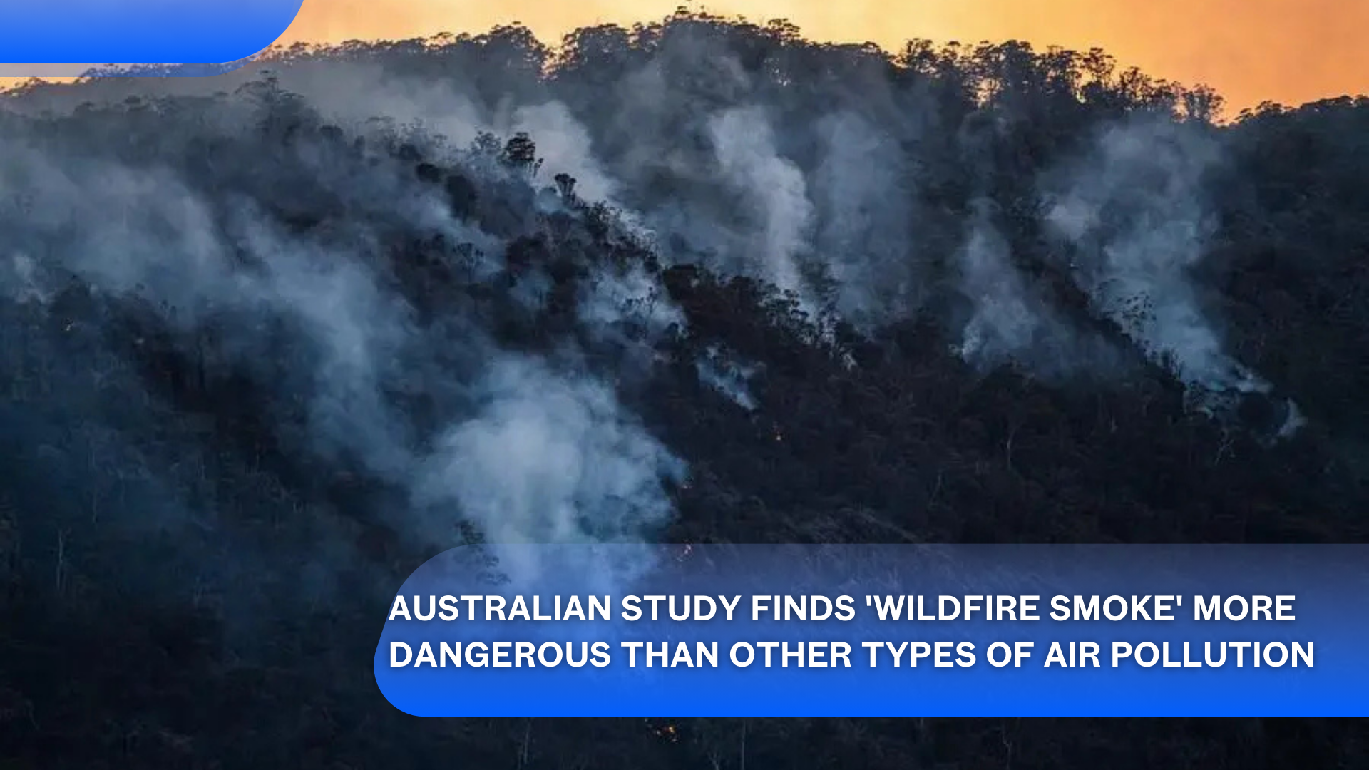 Australian Study Finds 'Wildfire Smoke' More Dangerous Than Other Types of Air Pollution