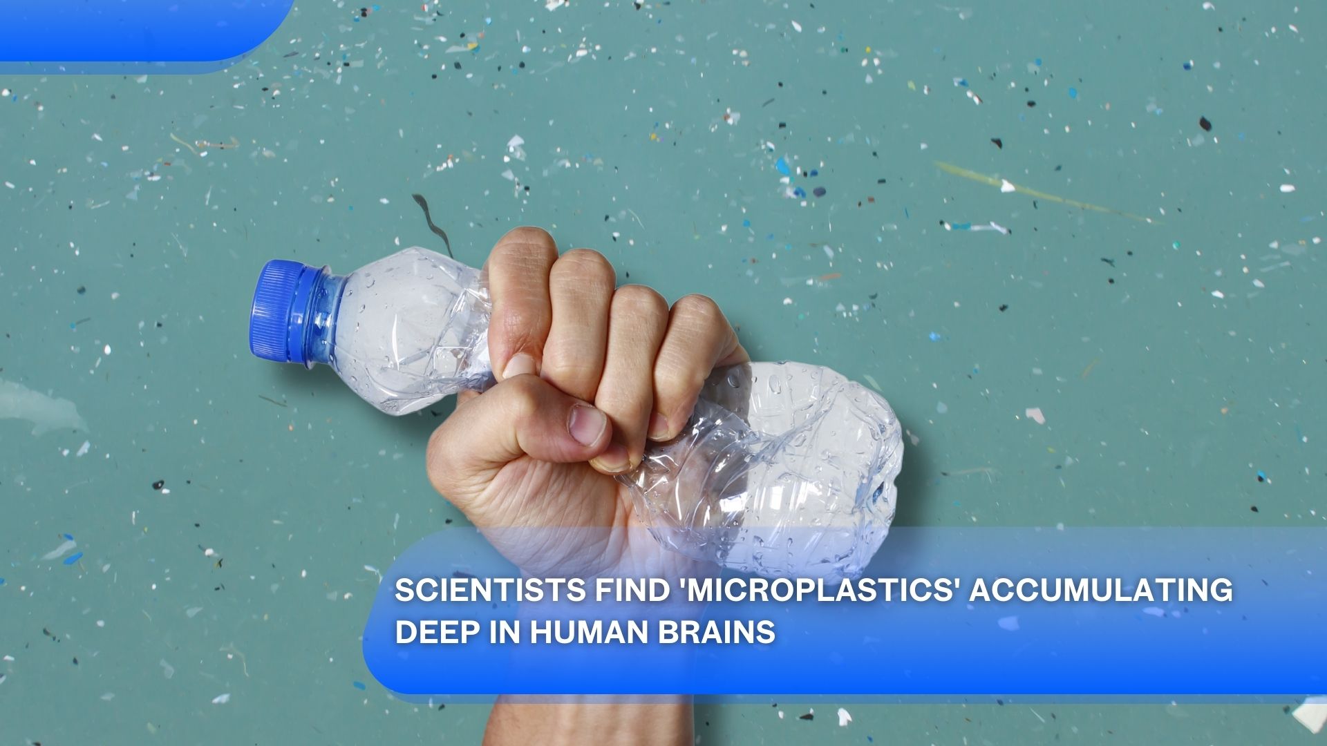Scientists Find 'Microplastics' Accumulating Deep in Human Brains