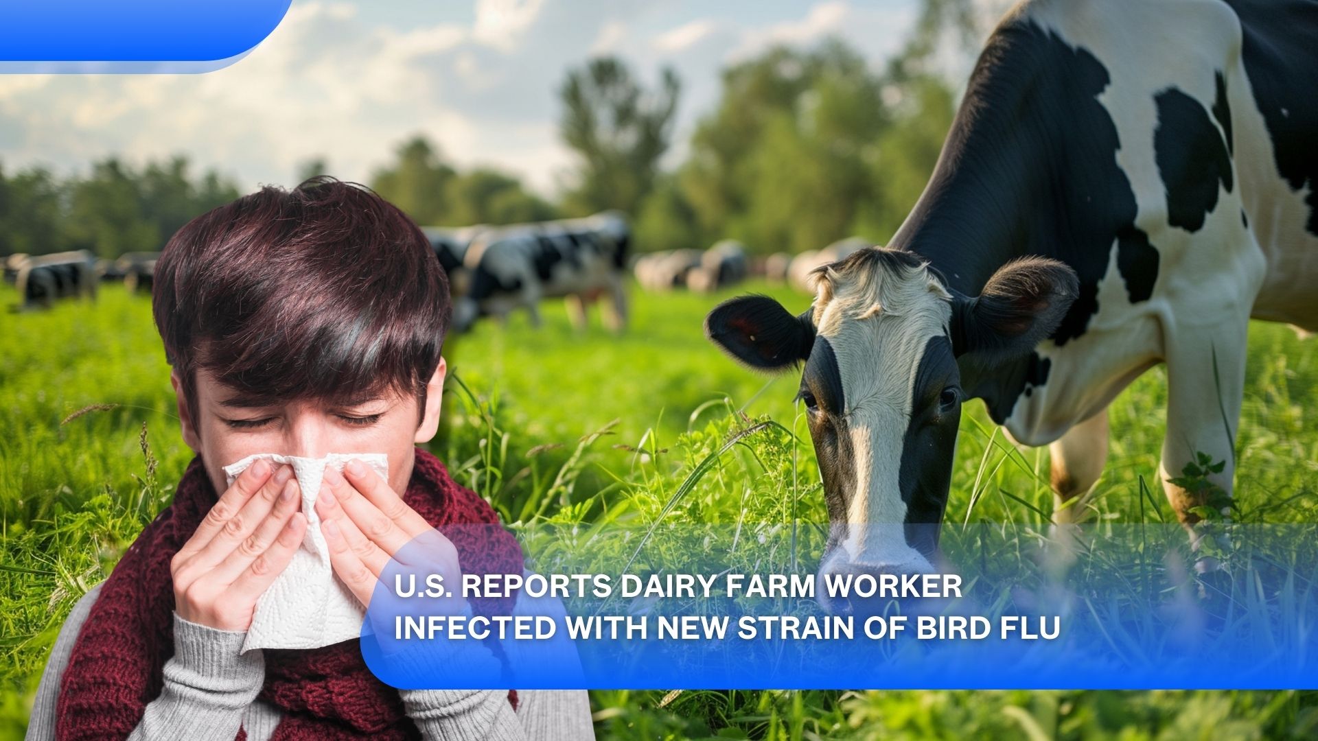 U.S. Reports Dairy Farm Worker Infected with New Strain of Bird Flu