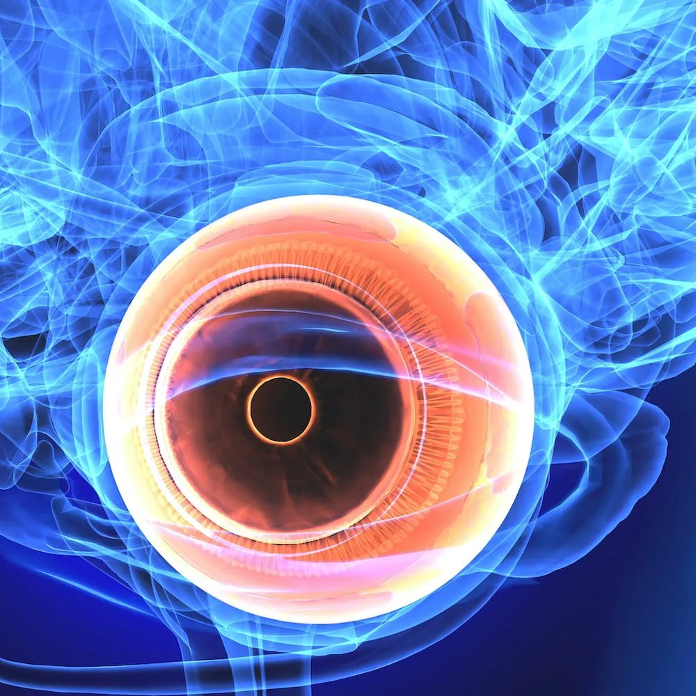 Neuro-ophthalmology Center