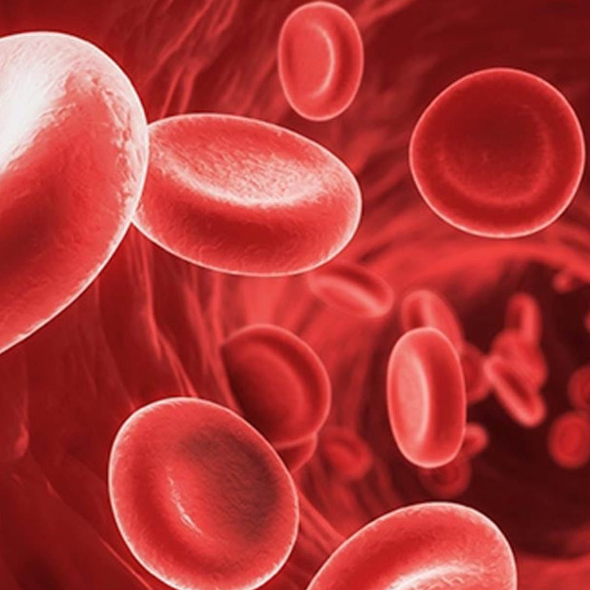 مركز زراعة خلايا الدم ونخاع العظام