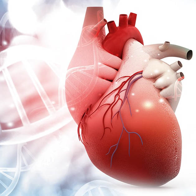 عيادة الوراثة القلبية الوعائية