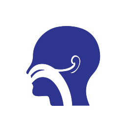 Clinique Oto-rhino-laryngologie