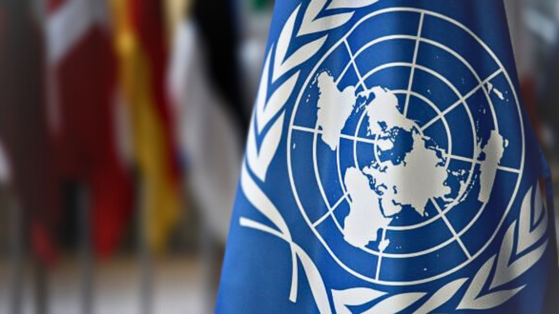 منظمة الصحة العالمية في الجمعية العامة للأمم المتحدة: دعوة لاتخاذ إجراءات عاجلة رفيعة المستوى لمواجهة الآفة العالمية لمقاومة مضادات الميكروبات