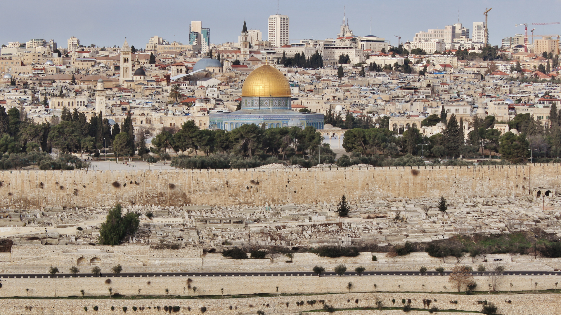 以色列报告火鸡养殖场爆发禽流感疫情