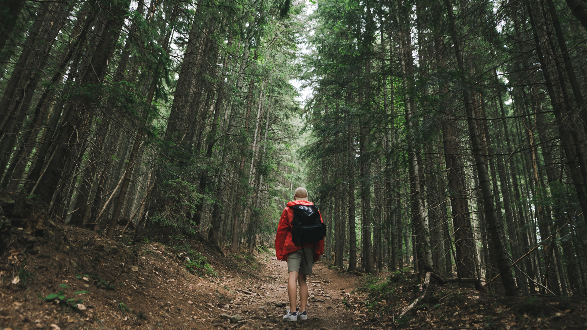 Warning for Campers and Hikers During the Late Rainy-Early Winter Season: Beware of Mite Bites, Risk of Scrub Typhus