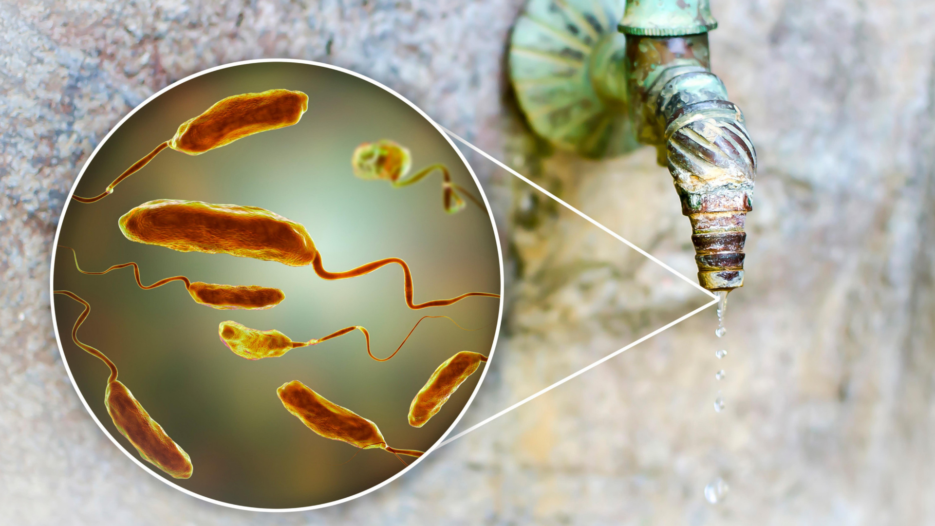 Invisible Danger: Parasites in Water