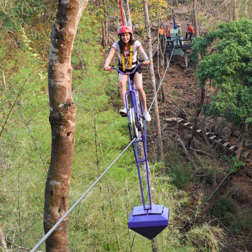 Rope Bridge & SkyCycling