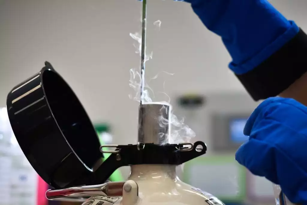Embryo Freezing