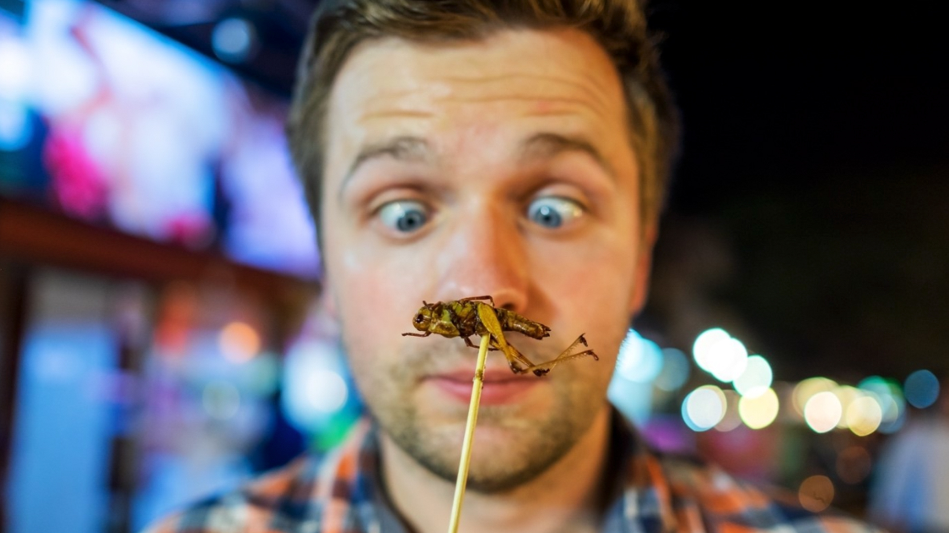Fried Insects: A Delicious and Nutritious Delicacy, but Not for Everyone