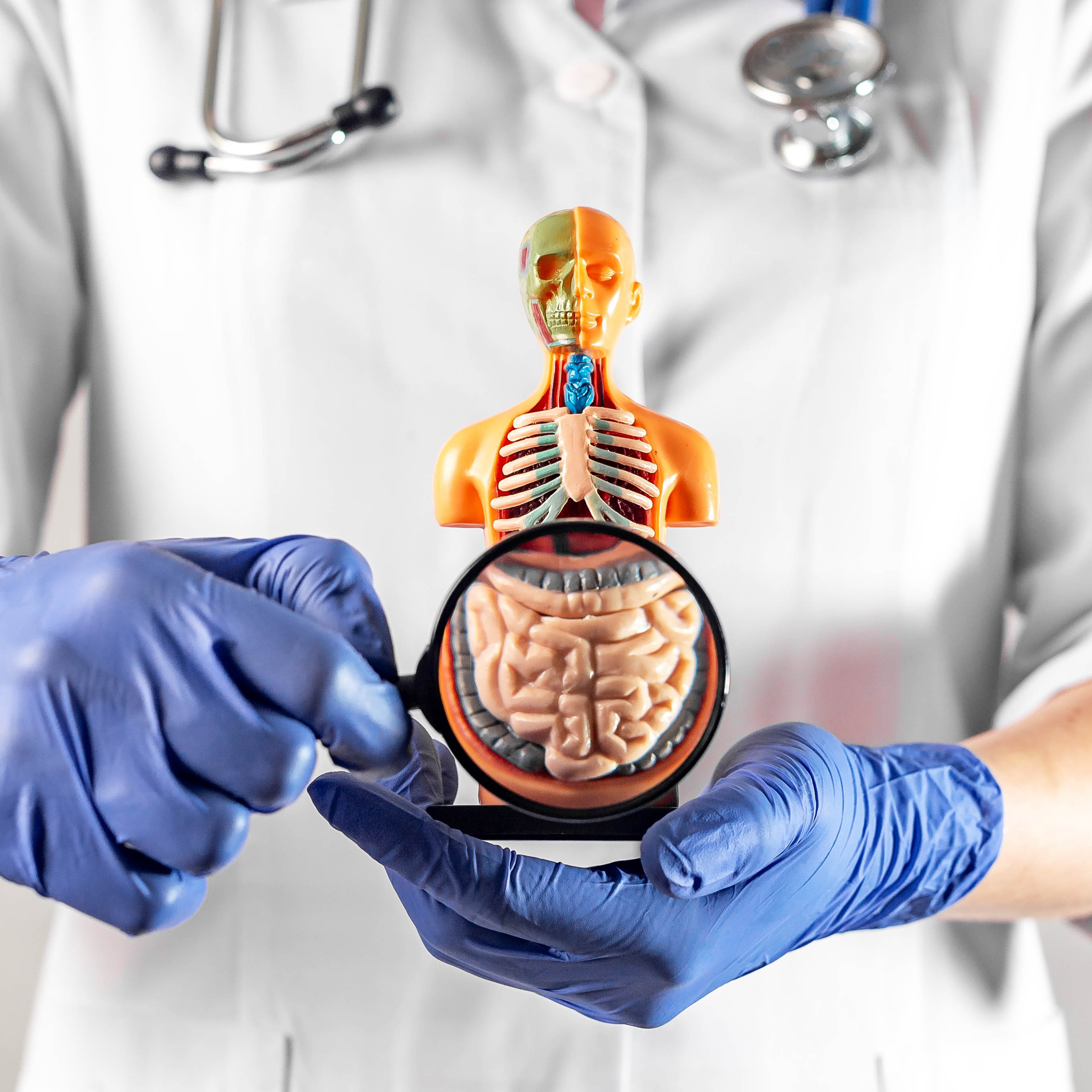 消化器・肝臓センター