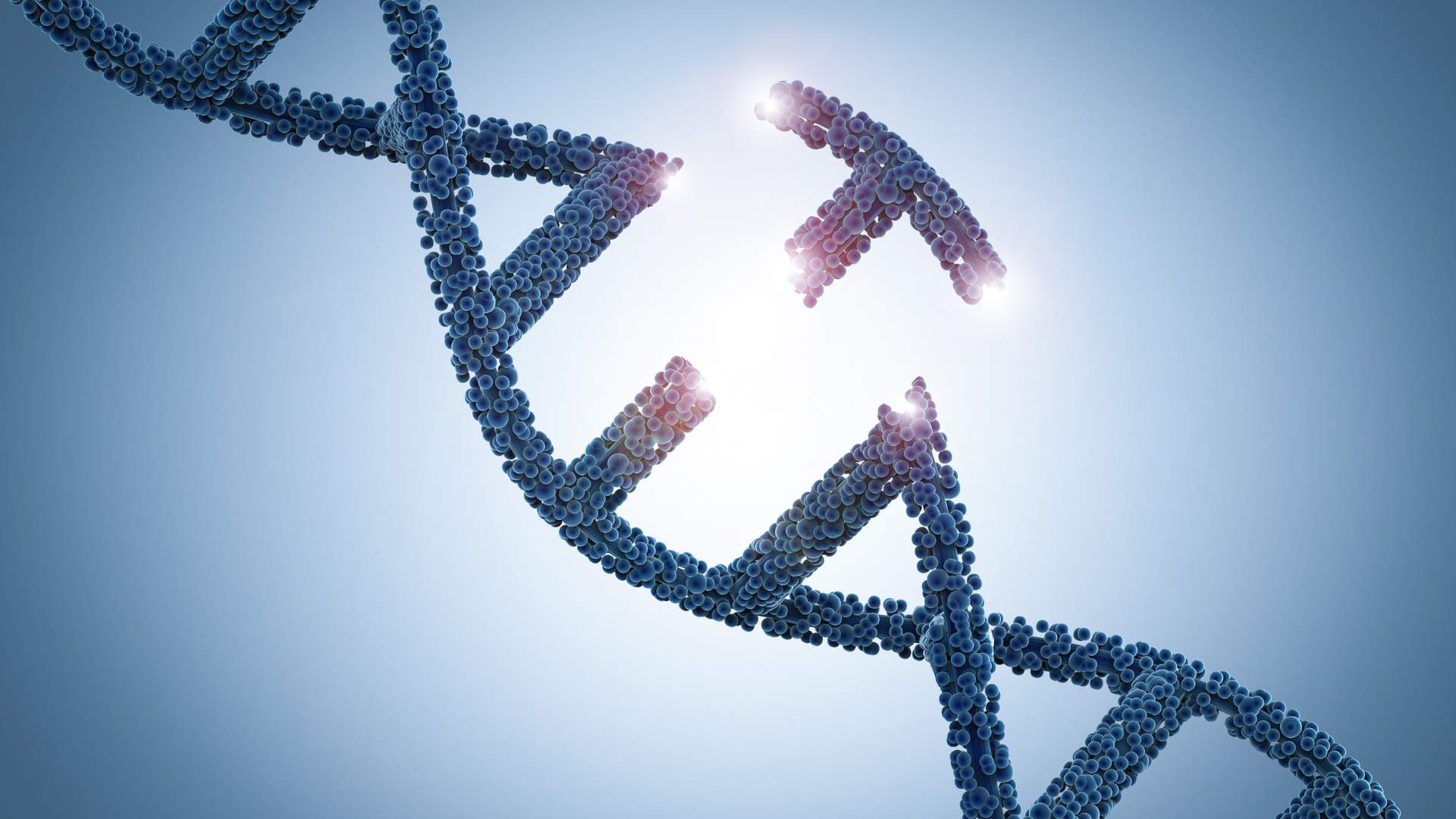 Genetic Disorders: Common Inherited Conditions You Should Know
