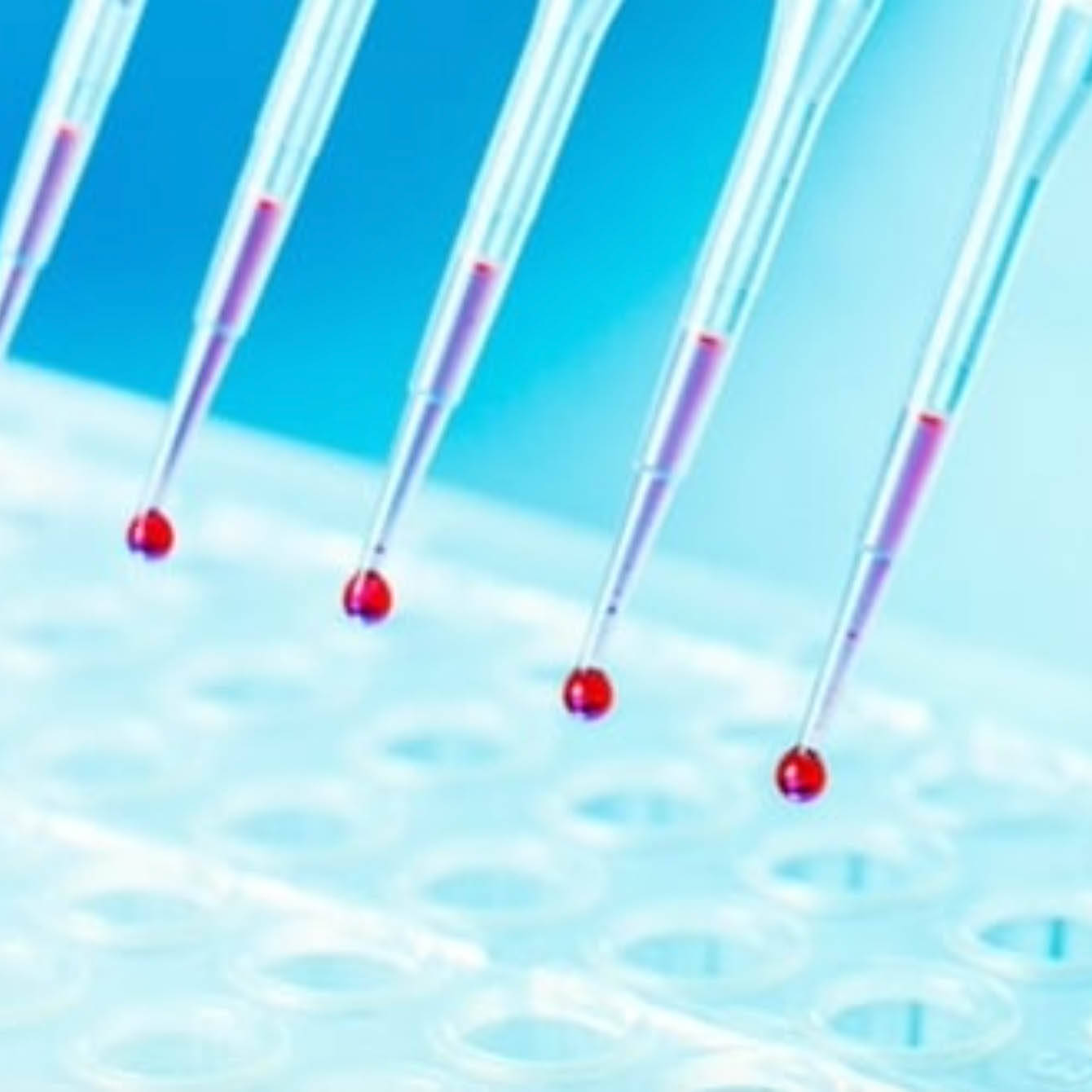 مركز أمراض الدم