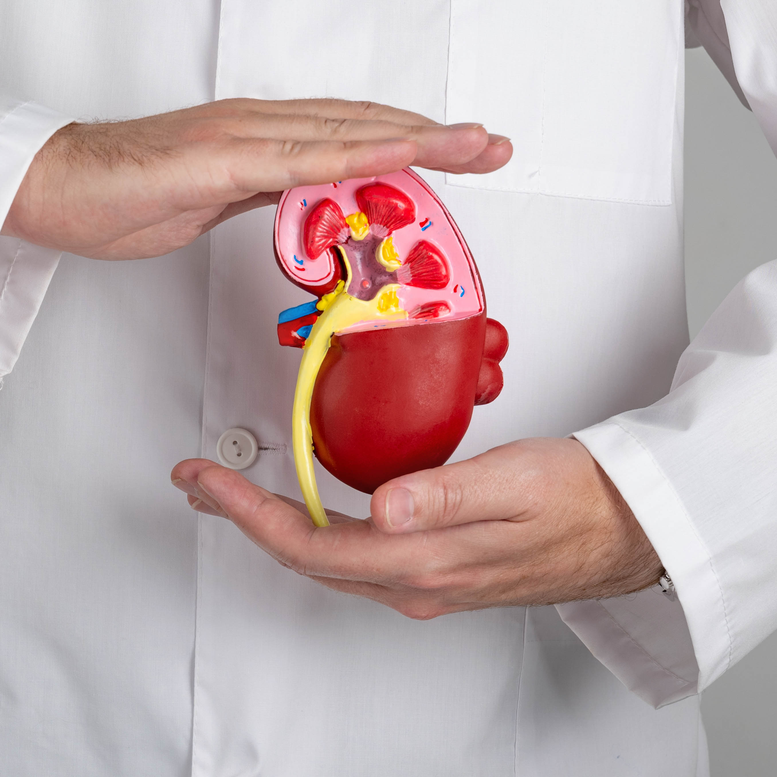 透析センター: 腎不全患者への専門的ケア