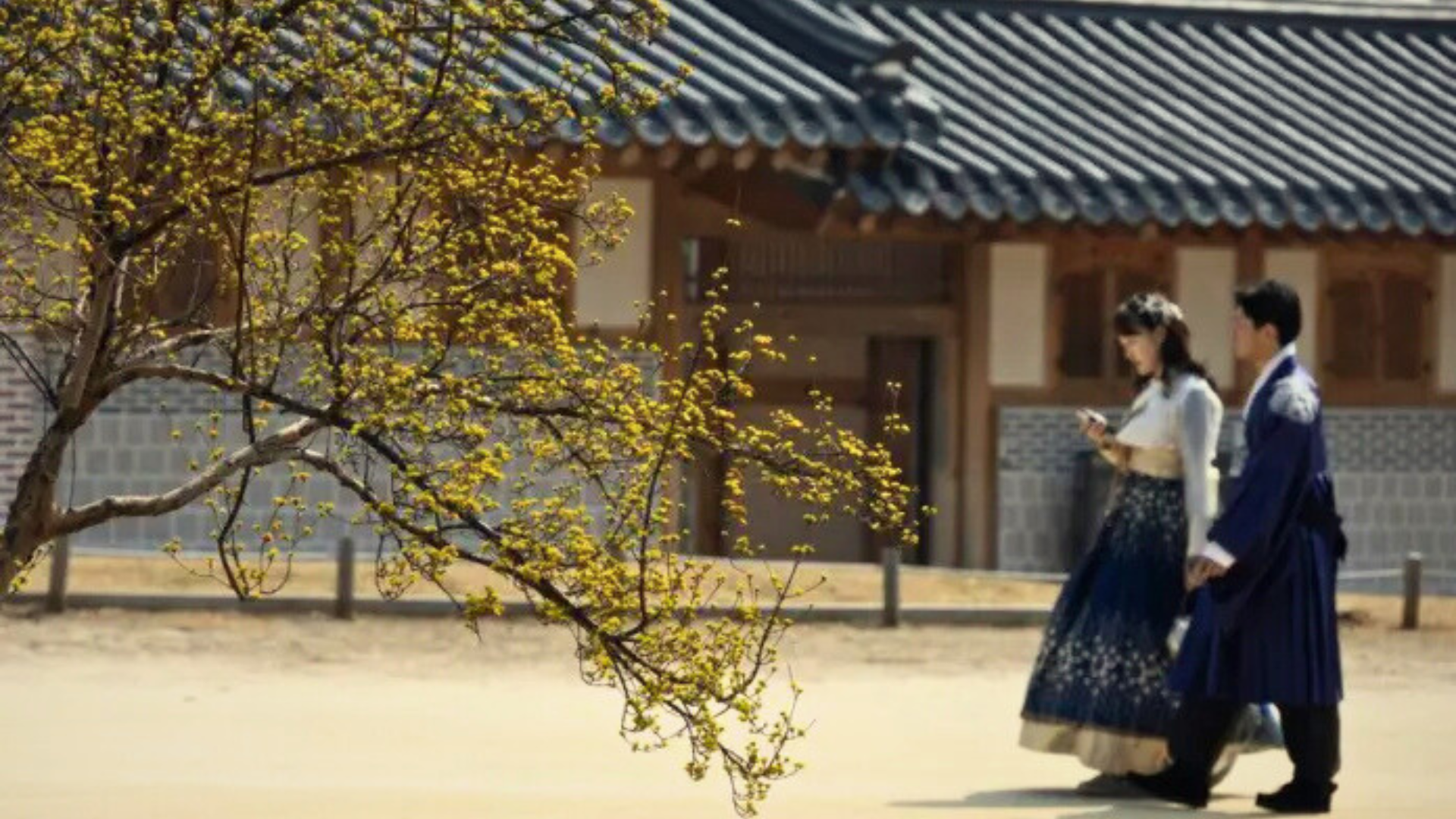 ‘Cancer, Heart Disease, and Pneumonia’—Top 3 Causes of Death in South Korea in 2023