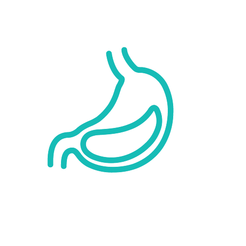 GASTROINTESTINAL CENTER: Nurturing Digestive Health