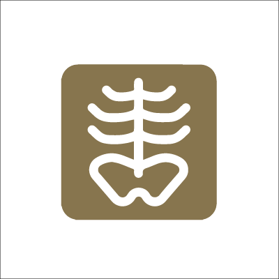 X-Ray and Imaging Center