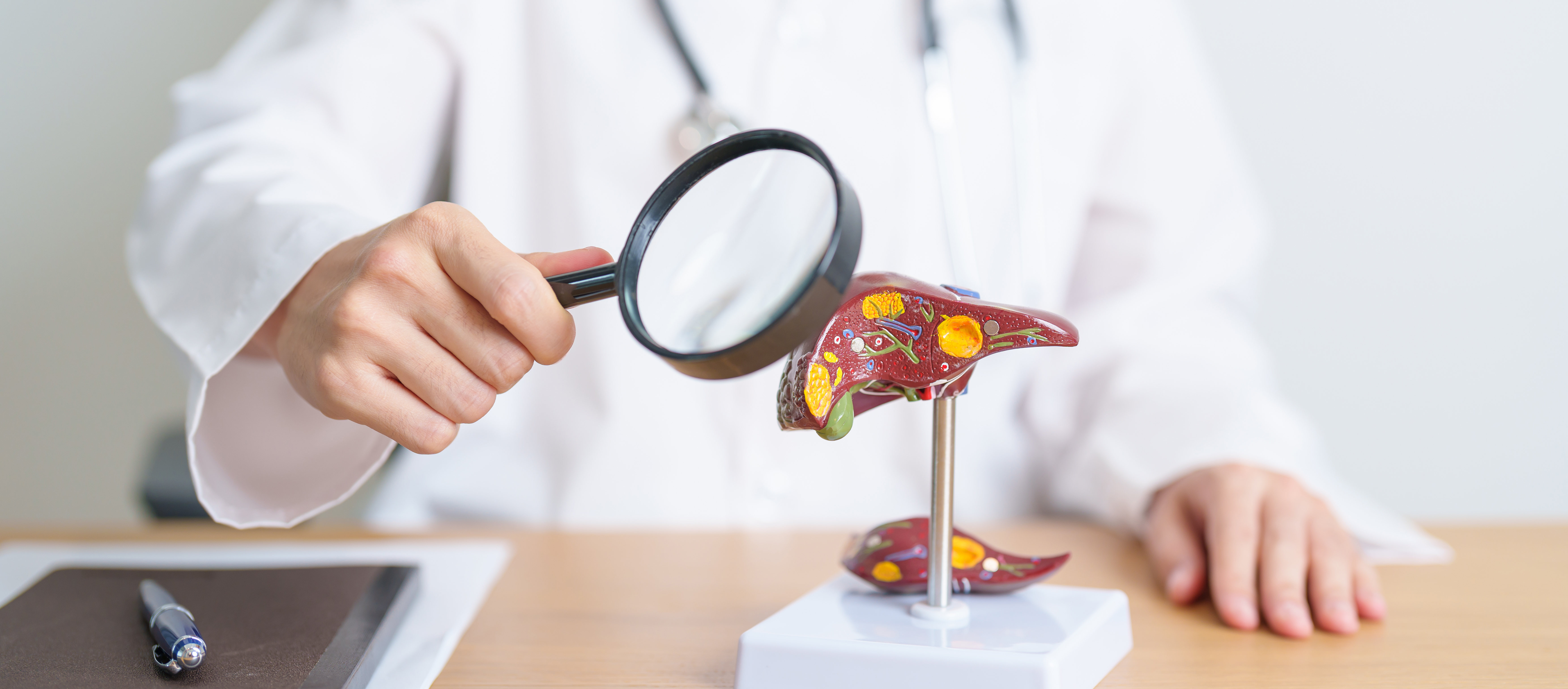 Identifying Risks for Liver Fibrosis and Fat Accumulation: Why You Should Consider a Fibroscan Test