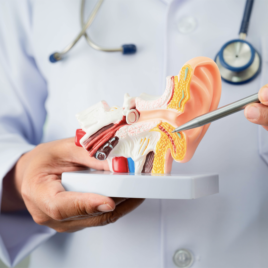 Ear, Nose and Throat Center