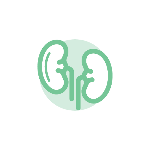 Kidney Transplant Services
